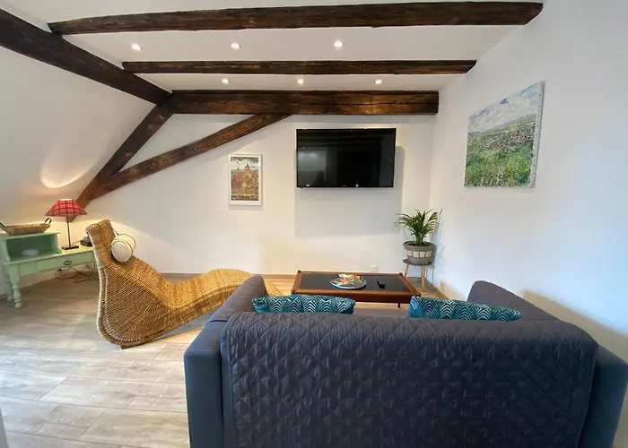 L'Ours De Colmar - Appartements En Centre Ville