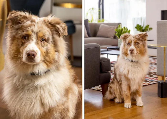 James Boutique Hotel Colmar Centre