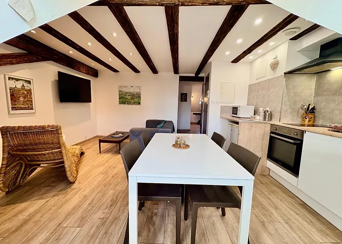 L'Ours De Colmar - Appartements En Centre Ville